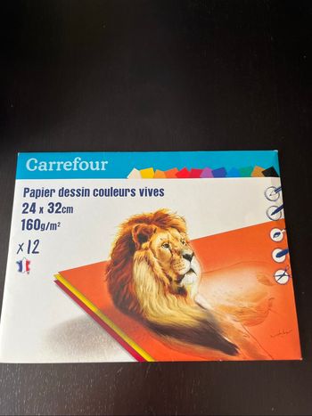 Papier dessin couleurs vives Carrefour