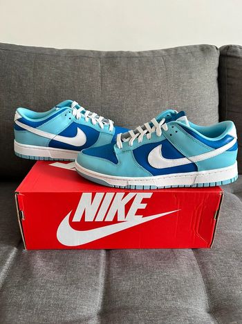 Nike dunk low retro Argon
