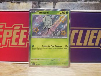 Carte Pokemon Terracool Shiny 105/091