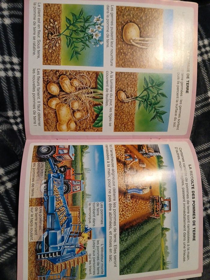 Livre - photo numéro 3