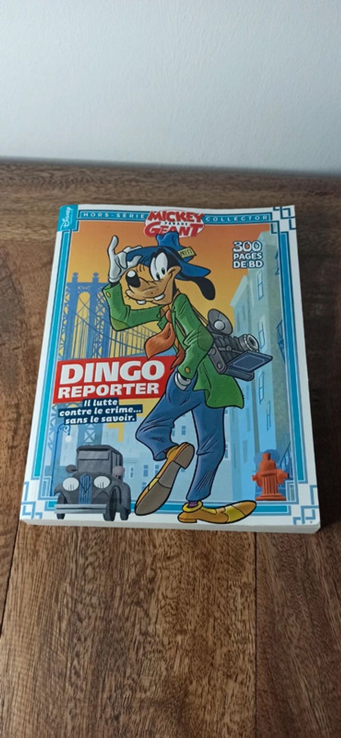 Dingo reporter