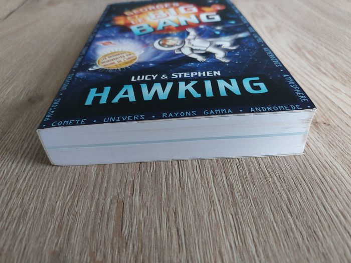 Livre jeunesse "Georges et le Big Bang" Lucy & Stephen Hawking - photo numéro 4