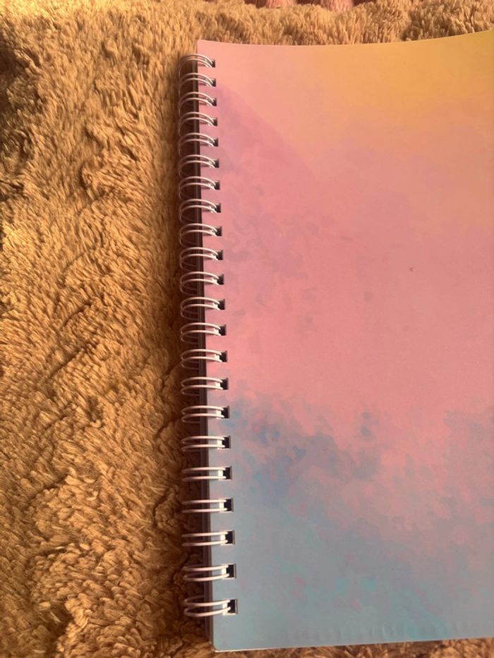 Cahier - photo numéro 2