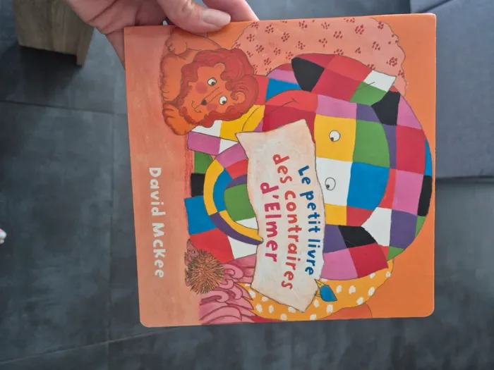 Le petit livre des contraintes d elmer