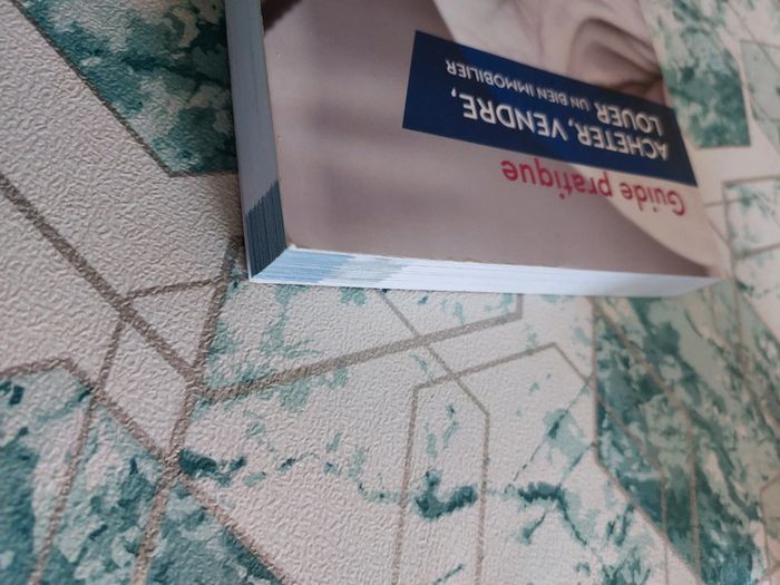 Acheter, Vendre, Louer un Bien Immobilier Guide Pratique - photo numéro 8