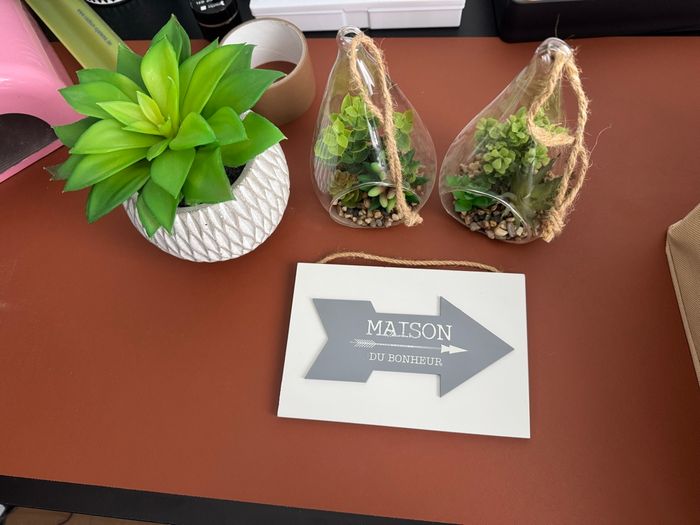 Lot de 4 déco plantes + affiche