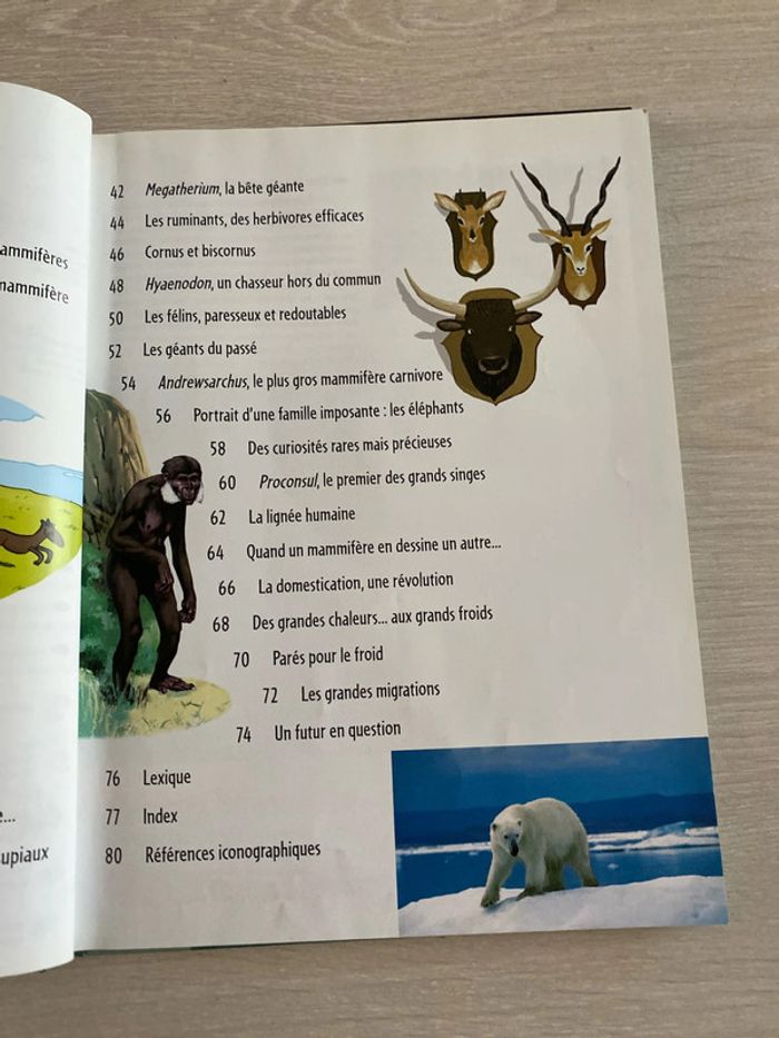 Livre et DVD Les mammifères disparus - photo numéro 7