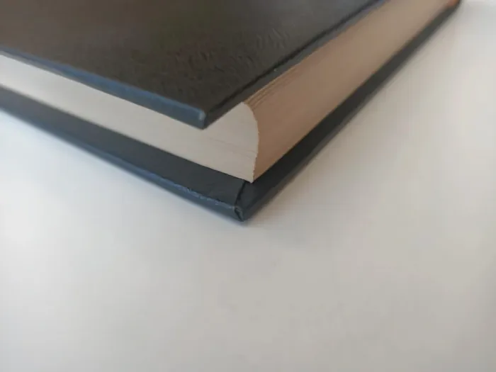 Livre Hans Christian Andersen contes (collection promesses / éditions d'antan ) - photo numéro 6