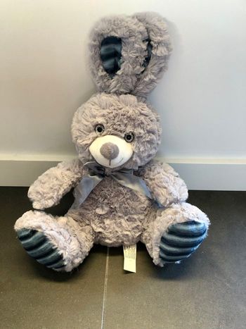Lapin gris