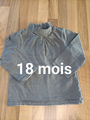 Tee-shirt manches longues col roulé rayé marron noir 18 mois Vertbaudet