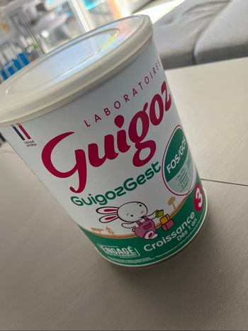 GuigozGest