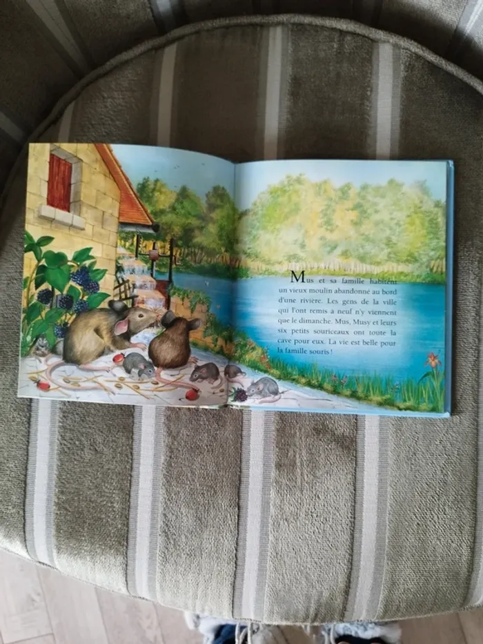 Livre pour enfant - photo numéro 3