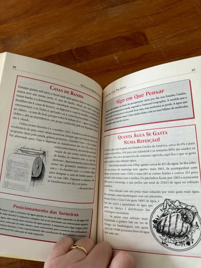 Livre o livro da sabedoria do LAR - photo numéro 4