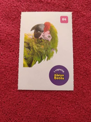 Carte nos amies les bêtes