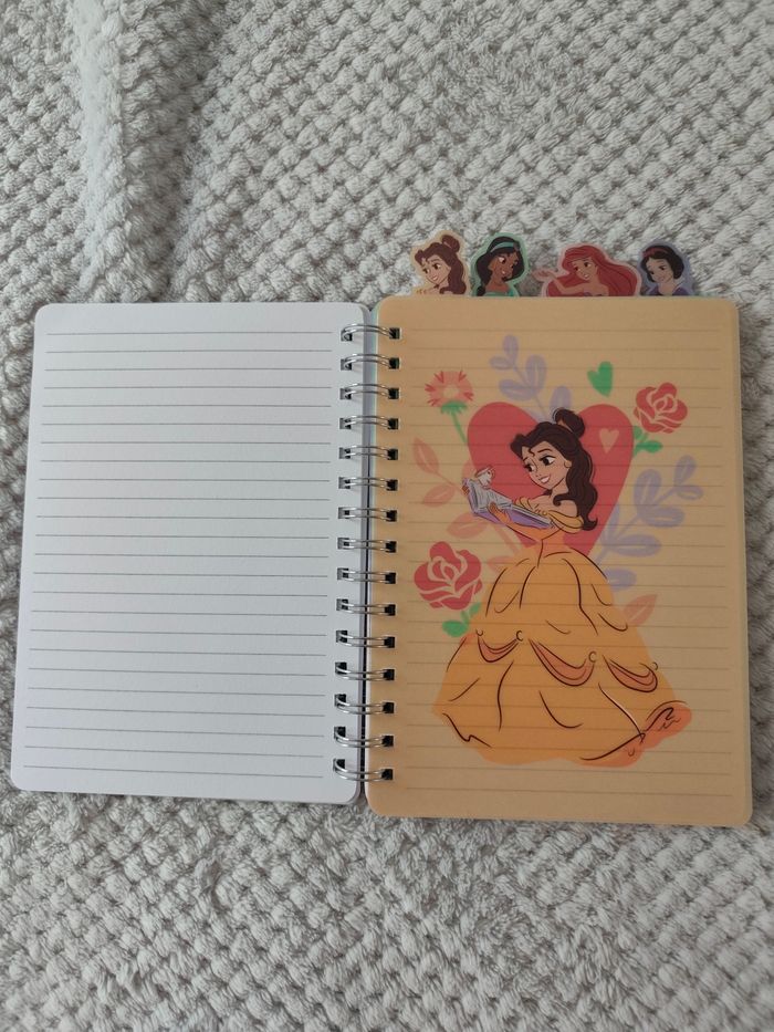Carnet Princesse - photo numéro 2