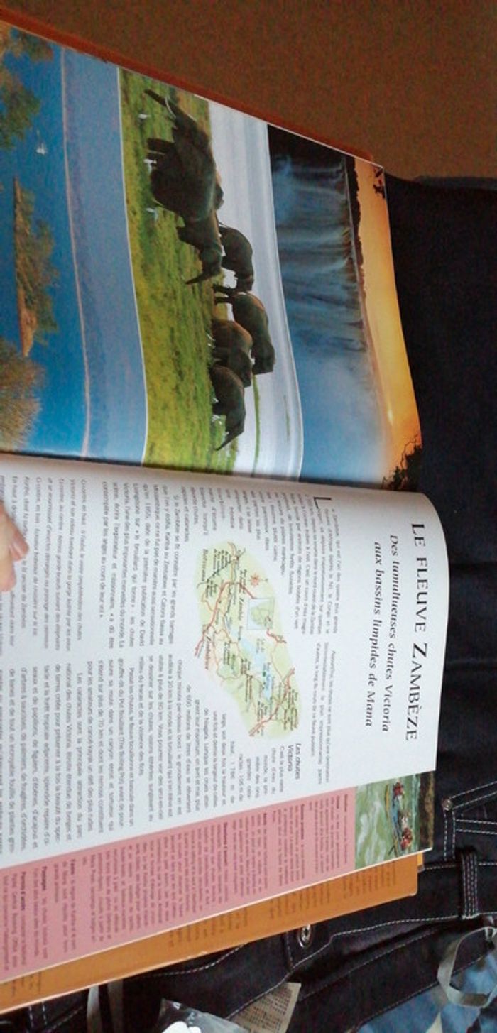 Livre l'Afrique australe - photo numéro 7