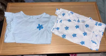 Lot de 2 t-shirts bébé fille