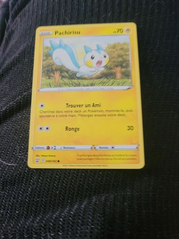 Pokémon pachirisu
