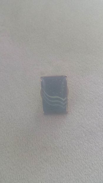 Pin's européen