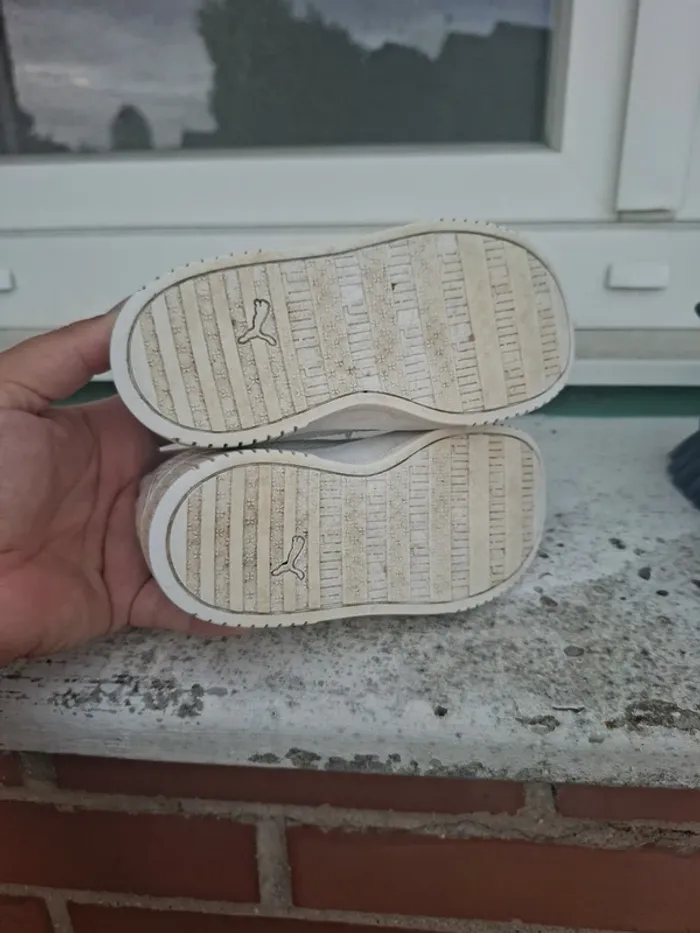 Puma taille 24 - photo numéro 6