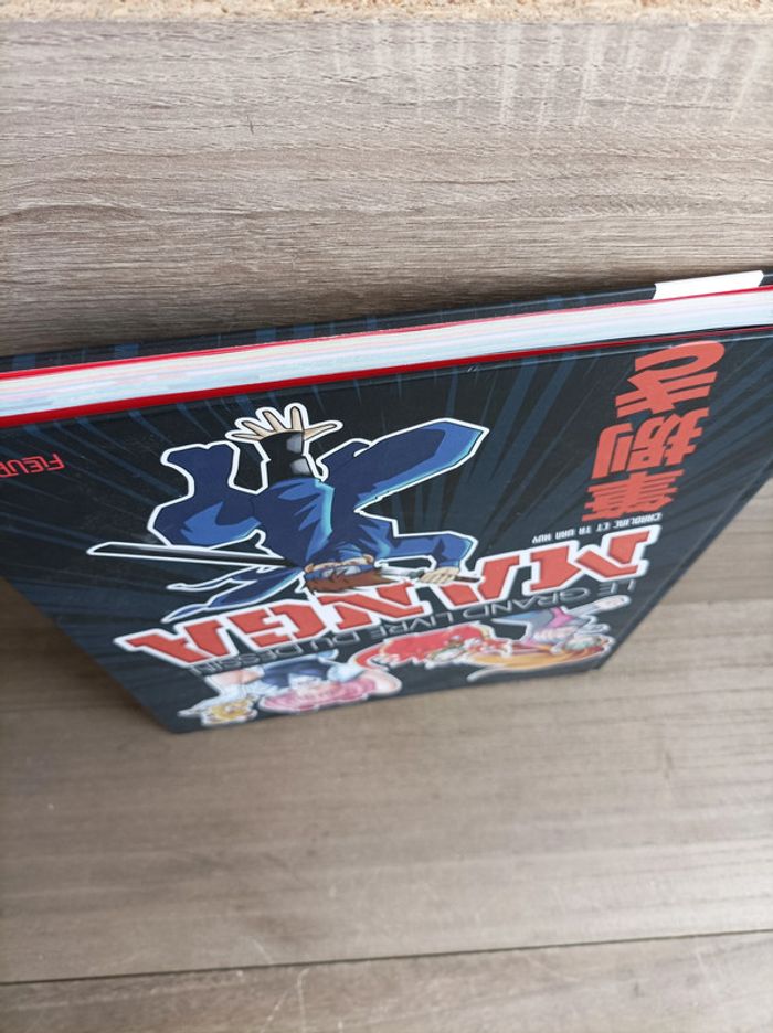 La Grand Livre du Dessin Manga Fleurus - photo numéro 5