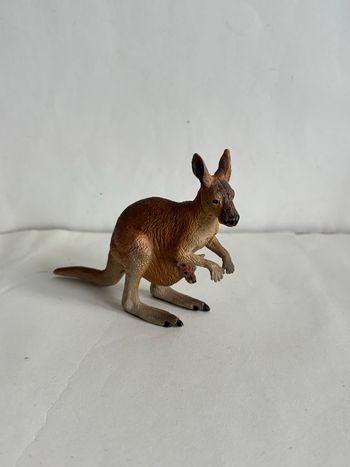 Kangourou papo 