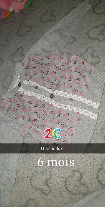 Gilet influx