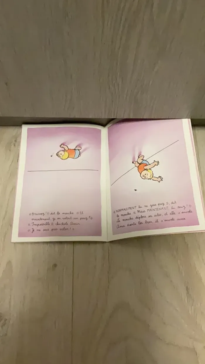Livre enfant mouche - photo numéro 3