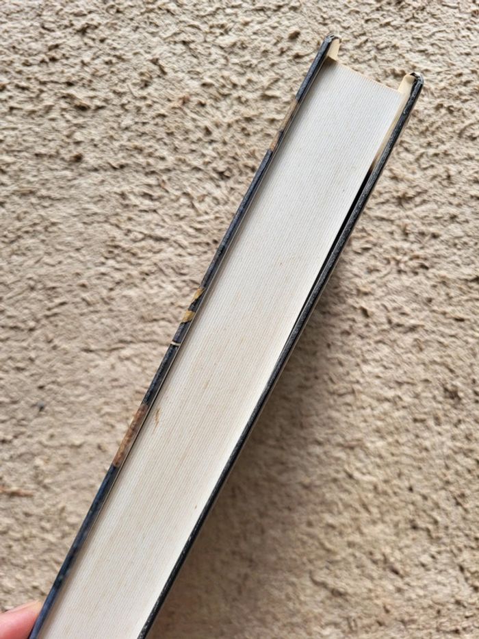 Livre Mal d'enfant d'Elizabeth George - photo numéro 4