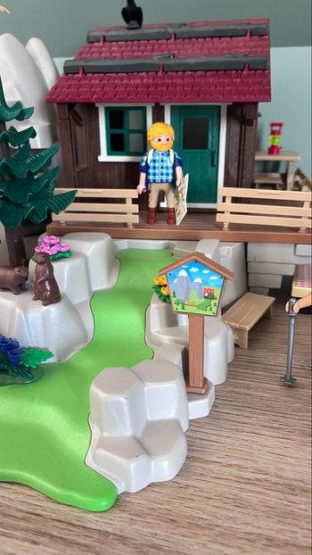 Lot Playmobil montagne 