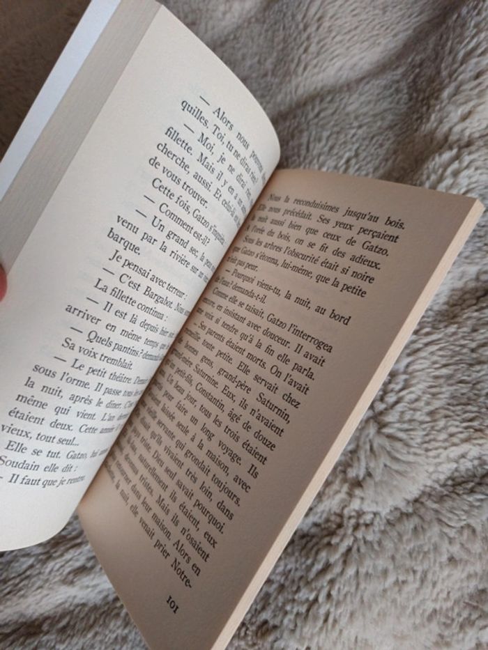 L'enfant et la rivière - photo numéro 7