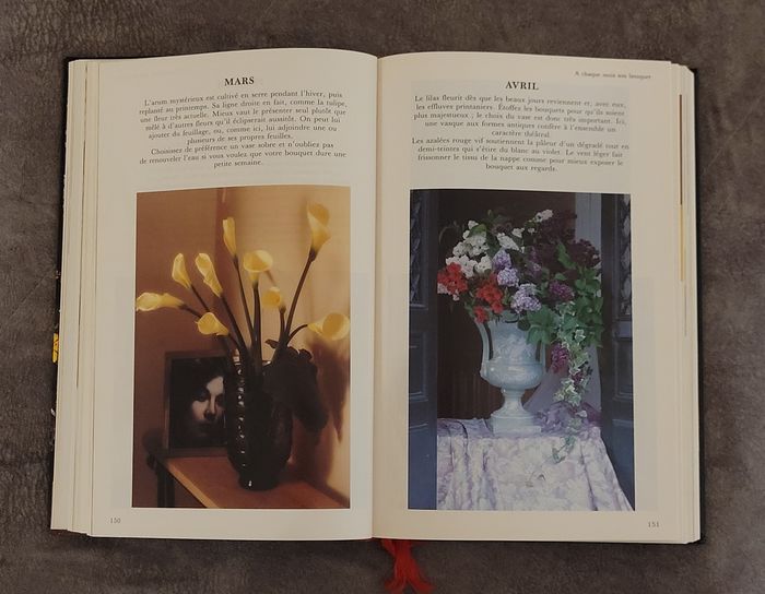 La maison fleurie - le guide le plus complet - photo numéro 4