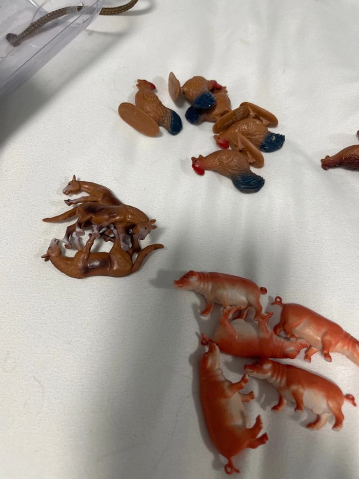 Lot animaux - photo numéro 7