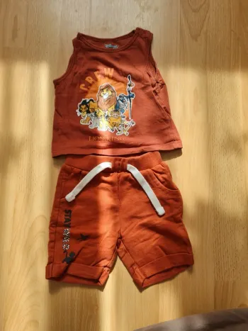 Ensemble roi lion