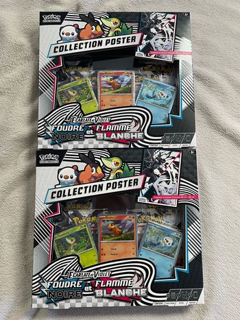 Lot de 2 Coffret Poster 10.5