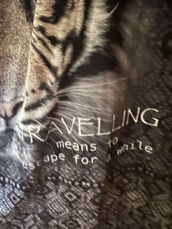 Teeshirt tigre Yessica - photo numéro 3