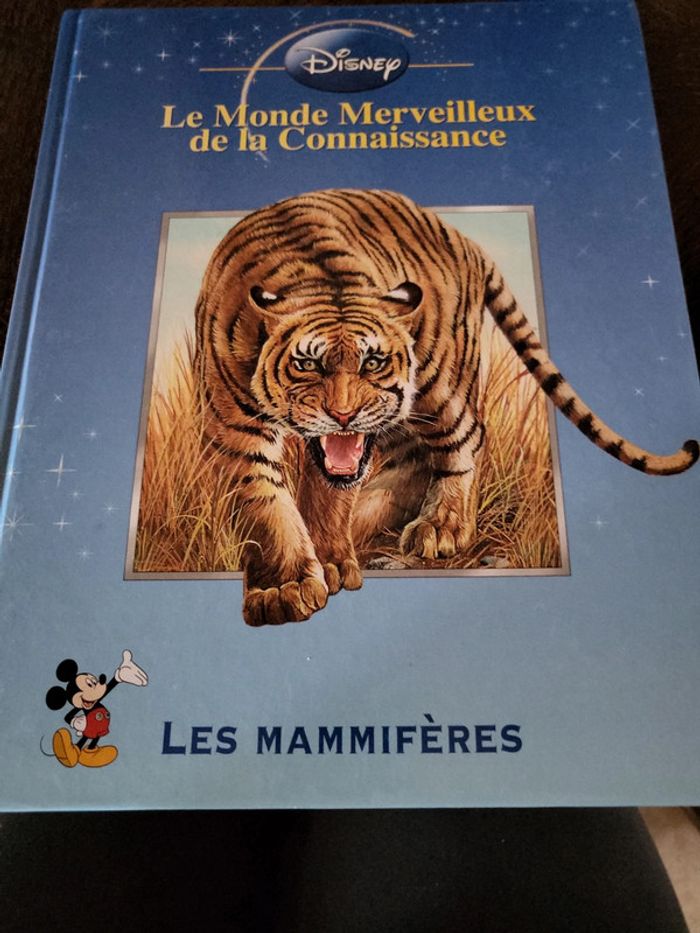 Les mammifères- disney