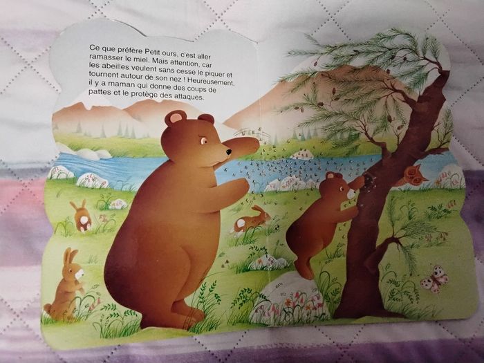 Mon petit ours - photo numéro 3