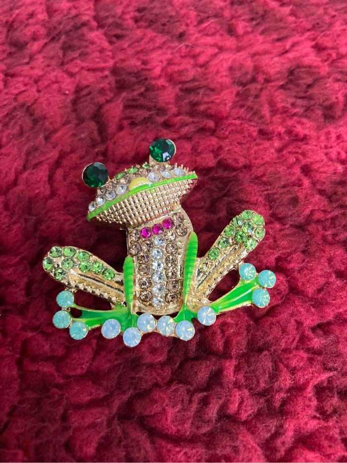 Broche grenouille 🐸