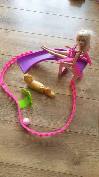 Barbie et son parc a chiens
