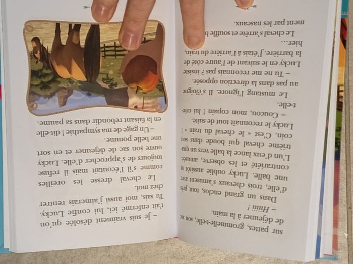 Spirit : le cheval sauvage - photo numéro 5