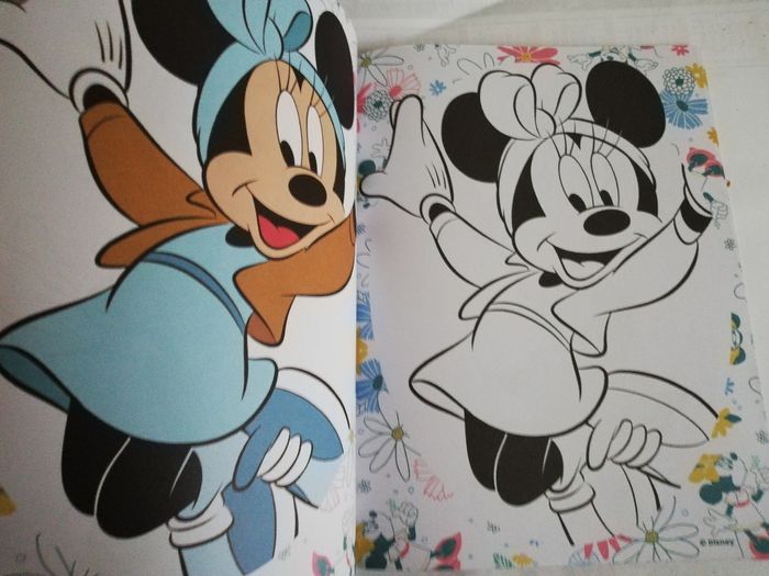 Livre coloriage minnie - photo numéro 3