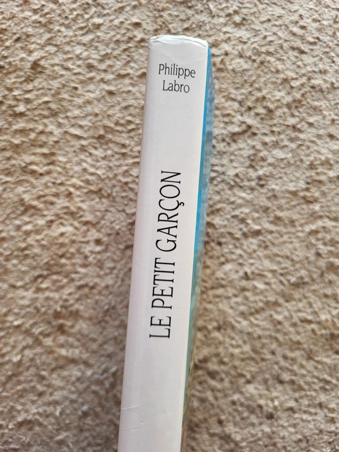 Roman Le petit garçon de Philippe Labro - photo numéro 4