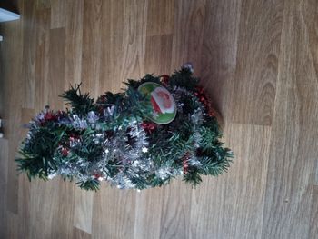 Mini sapin