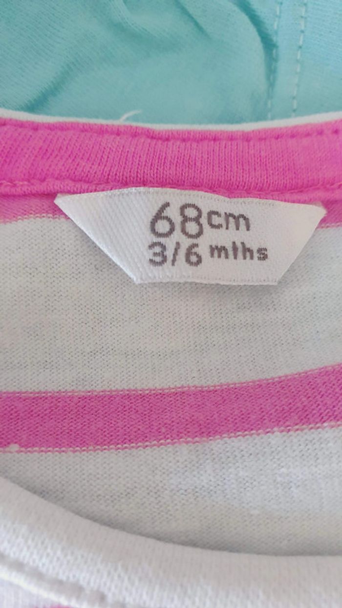 Lot Tshirt Fille 6 mois - photo numéro 4