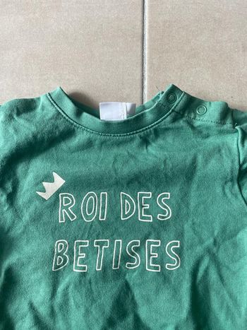 Pull vert "roi des bêtises"