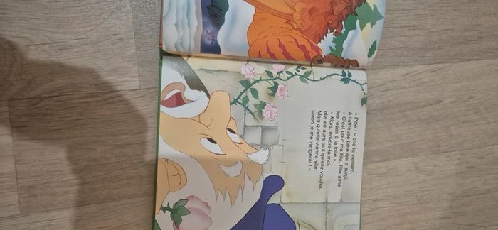 Livre - contes des pays enchantés - photo numéro 11