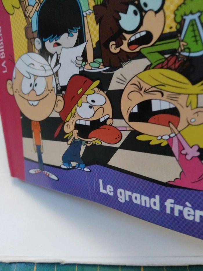 Bienvenue chez les loud le grand frère - photo numéro 3