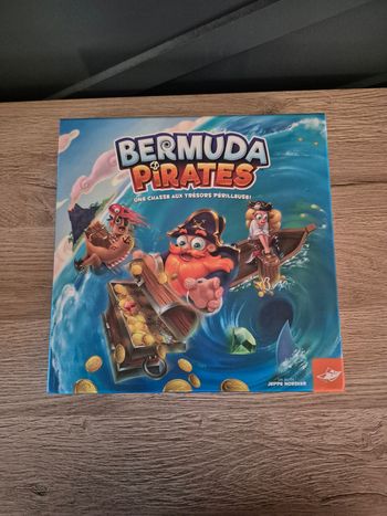 Bermuda Pirates
