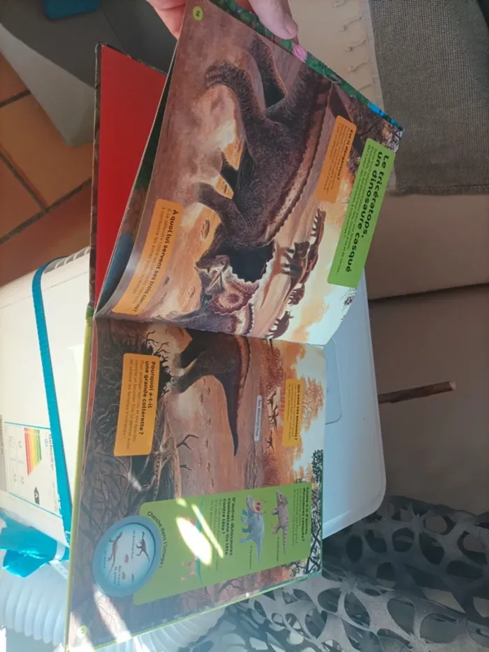 Livre sur les dinosaures - photo numéro 5